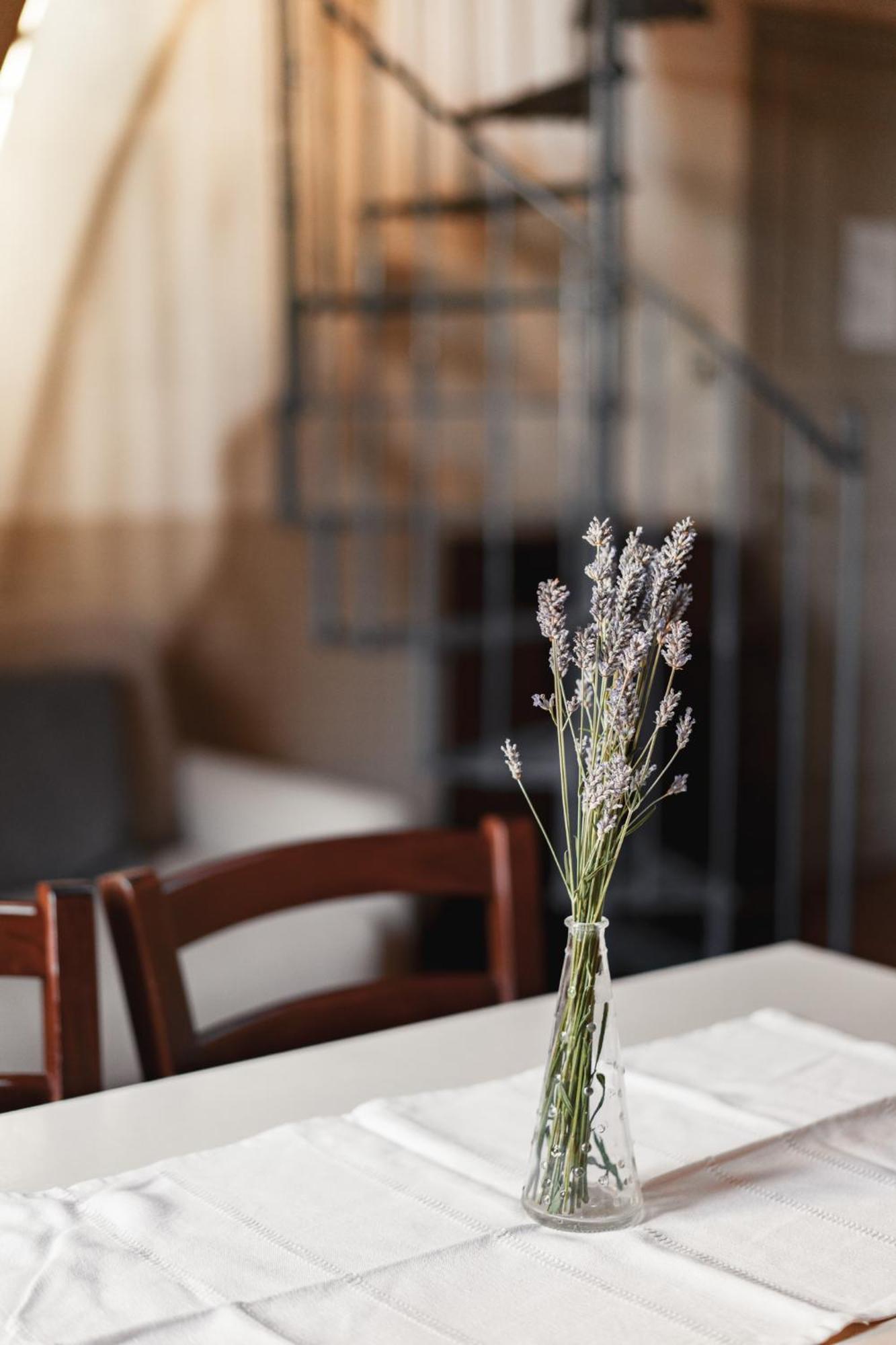 Il Pignocco Country House Santa Veneranda Rom bilde