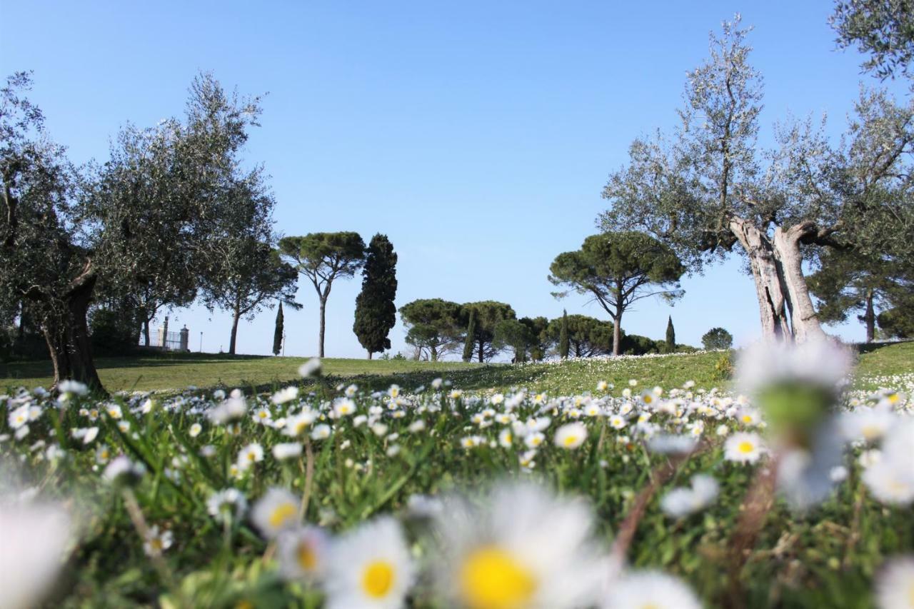 Il Pignocco Country House Santa Veneranda Eksteriør bilde